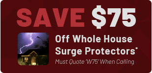 Whole House Surge Protector Virginia